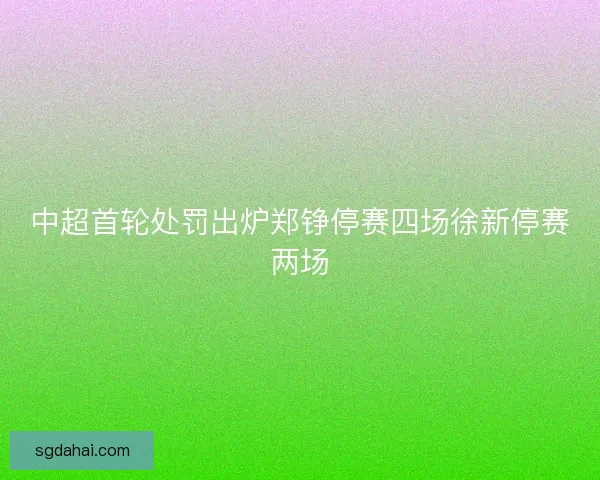 中超首轮处罚出炉郑铮停赛四场徐新停赛两场
