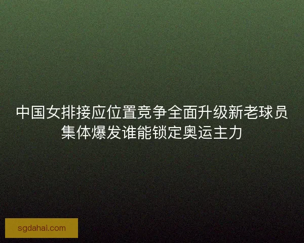 中国女排接应位置竞争全面升级新老球员集体爆发谁能锁定奥运主力